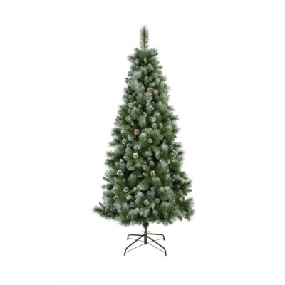 Norwich pine frosted 240cm 